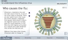 Infographics H1N1